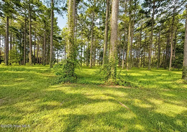 Photo 4 of Land for sale at 159 Frying Pan, Oriental, NC 28571 | MLS# 100601766 | Listing updated on 2026-09-08