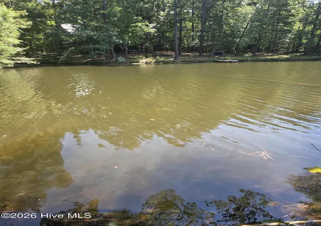 Photo 2 of Land for sale at Lot 45b Appaloosa Lake Dr, Carthage, NC 28327 | MLS# 100602815 | Listing updated on 2026-09-15
