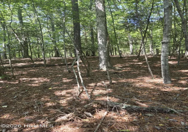 Photo 3 of Land for sale at Lot 45b Appaloosa Lake Dr, Carthage, NC 28327 | MLS# 100602815 | Listing updated on 2026-09-15