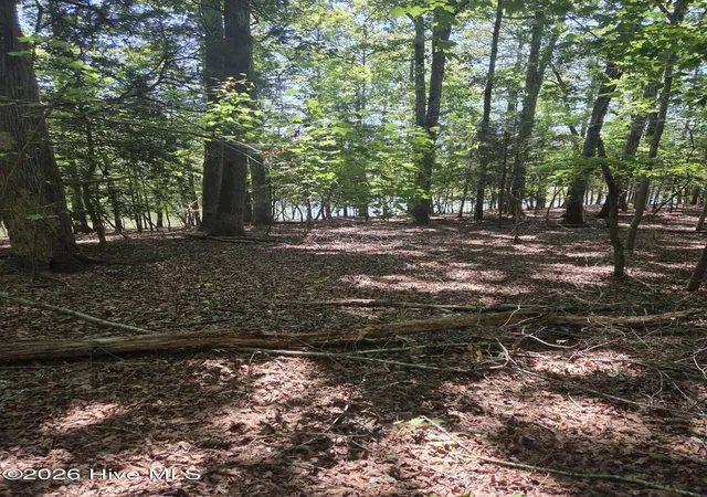 Photo 3 of Land for sale at Lot 45b Appaloosa Lake Dr, Carthage, NC 28327 | MLS# 100602815 | Listing updated on 2026-09-15