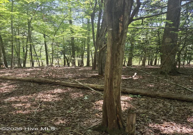 Photo 4 of Land for sale at Lot 45b Appaloosa Lake Dr, Carthage, NC 28327 | MLS# 100602815 | Listing updated on 2026-09-15