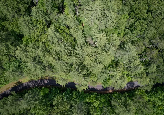 Photo 3 of Land for sale at Tbd Spectacular Blvd, Hayesville, NC 28904 | MLS# 98544102 | Listing updated on 2026-09-08