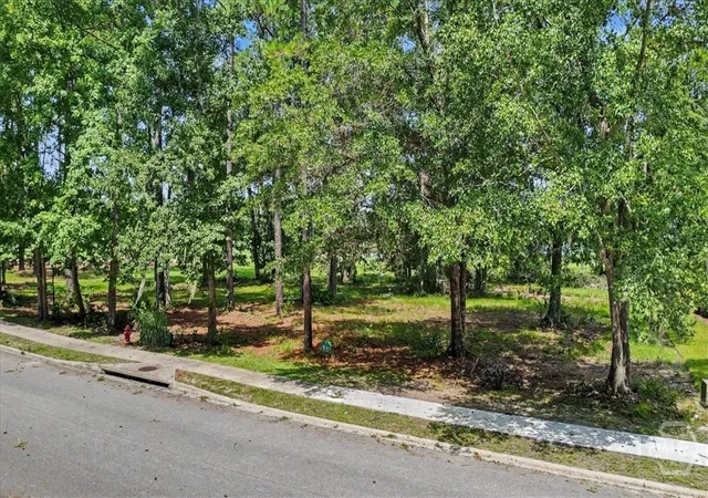 Photo 2 of Land for sale at Lot 2 Sanctuary Wynd, Waverly, GA 31565 | MLS# SA363253 | Listing updated on 2026-09-11