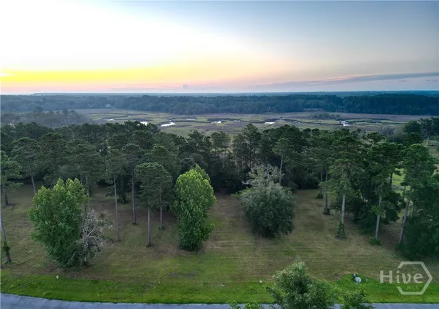Photo 1 of Land for sale at Lot #8 Baker Is Way NE, Townsend, GA 31331 | MLS# SA365002 | Listing updated on 2026-10-19