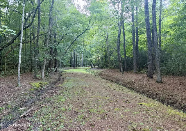 Land for sale at 1356 Gould Rd, Richlands, NC 28574 | MLS# 100600807