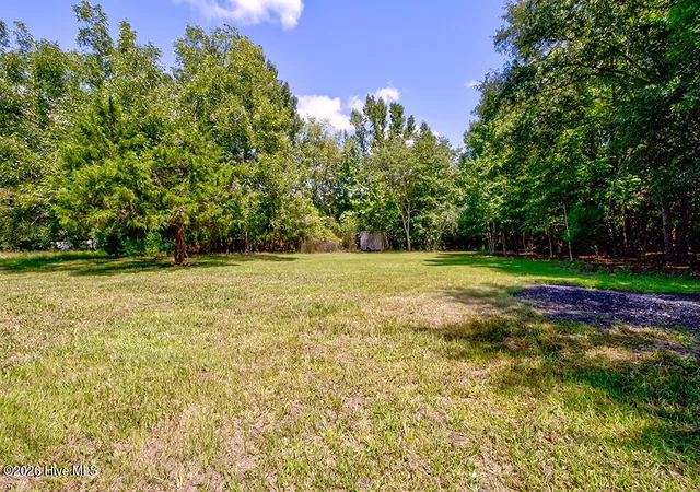 Photo 29 of Single family home for sale at 390 Newtown Loop Rd, Atkinson, NC 28421 | MLS# 100600405 | Listing updated on 2026-10-01