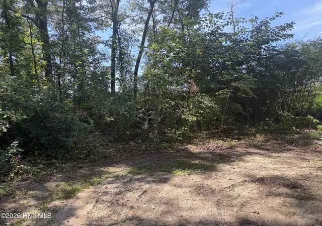 Photo 3 of Manufactured home for sale at 316 Factory St, Tarboro, NC 27886 | MLS# 100598530 | Listing updated on 2026-09-14