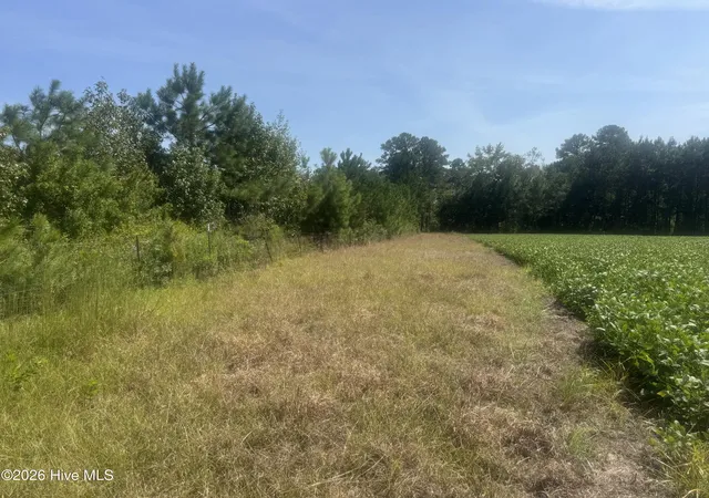 Photo 2 of Land for sale at 0 Bud Stephens Rd, Evergreen, NC 28438 | MLS# 100604150 | Listing updated on 2026-10-20