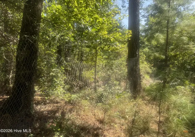 Photo 3 of Land for sale at 0 Bud Stephens Rd, Evergreen, NC 28438 | MLS# 100604150 | Listing updated on 2026-10-20