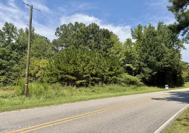 Land for sale at 000 Mt Zion Church Rd, Nashville, NC 27856 | MLS# 100601738