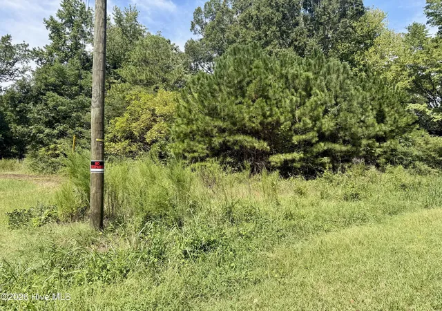 Photo 1 of Land for sale at 000 Mt Zion Church Rd, Nashville, NC 27856 | MLS# 100601738 | Listing updated on 2026-09-05