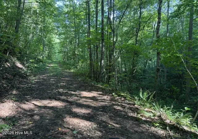 Land for sale at 5 Tyler Ln, Marble, NC 28905 | MLS# 100603131