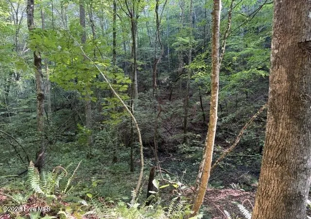 Photo 1 of Land for sale at 5 Tyler Ln, Marble, NC 28905 | MLS# 100603131 | Listing updated on 2026-09-12