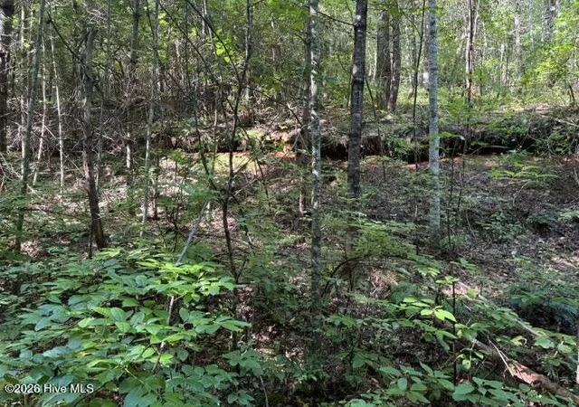 Photo 2 of Land for sale at 5 Tyler Ln, Marble, NC 28905 | MLS# 100603131 | Listing updated on 2026-09-12
