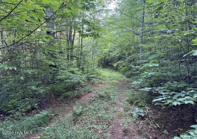 Photo 3 of Land for sale at 5 Tyler Ln, Marble, NC 28905 | MLS# 100603131 | Listing updated on 2026-09-12