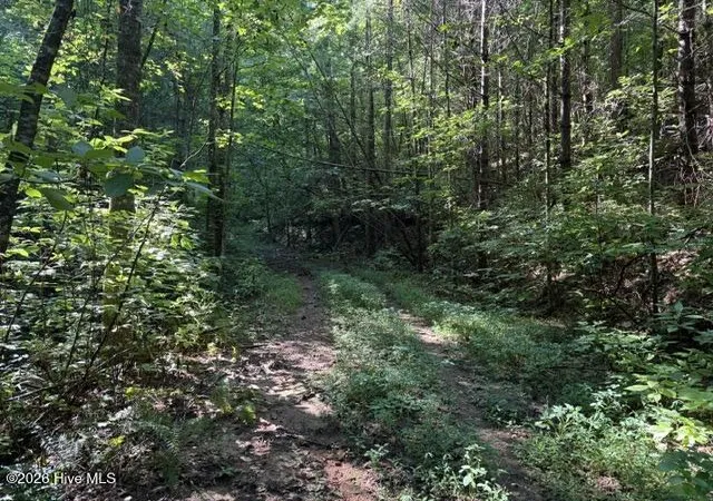Photo 4 of Land for sale at 5 Tyler Ln, Marble, NC 28905 | MLS# 100603131 | Listing updated on 2026-09-12