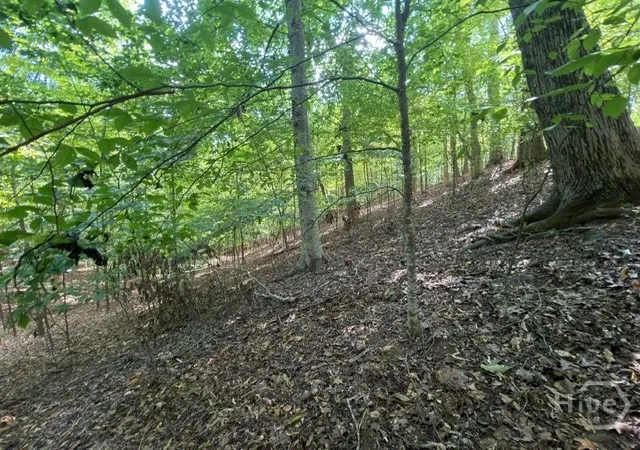 Photo 1 of Land for sale at Lot 1643 Cranberry Ln, Westminster, SC 29693 | MLS# CL364320 | Listing updated on 2026-09-10
