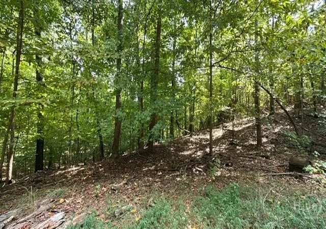 Photo 3 of Land for sale at Lot 1643 Cranberry Ln, Westminster, SC 29693 | MLS# CL364320 | Listing updated on 2026-09-10