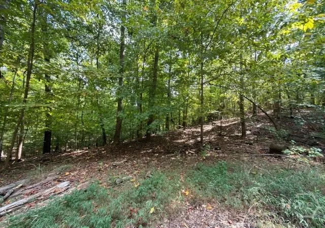 Photo 4 of Land for sale at Lot 1643 Cranberry Ln, Westminster, SC 29693 | MLS# CL364320 | Listing updated on 2026-09-10