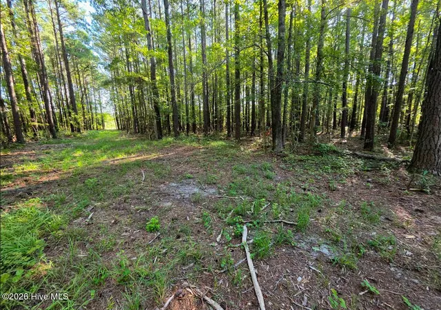 Photo 3 of Land for sale at (Undisclosed), Bath, NC 27808 | MLS# 100603382 | Listing updated on 2026-09-14