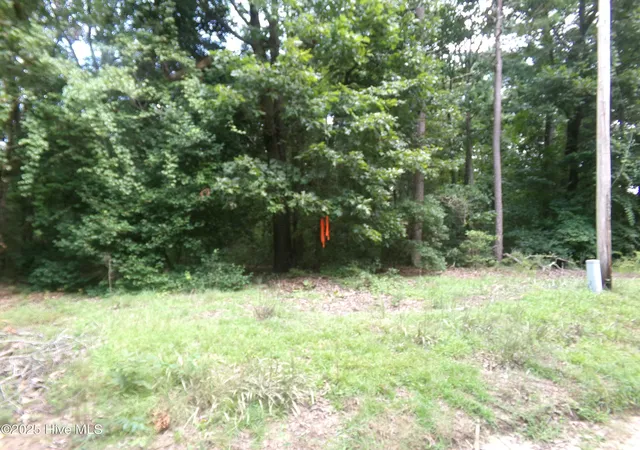Land for sale at Lot 37 Plantation Rd, Elizabethtown, NC 28337 | MLS# 100602395