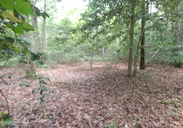 Photo 2 of Land for sale at Lot 37 Plantation Rd, Elizabethtown, NC 28337 | MLS# 100602395 | Listing updated on 2026-09-09