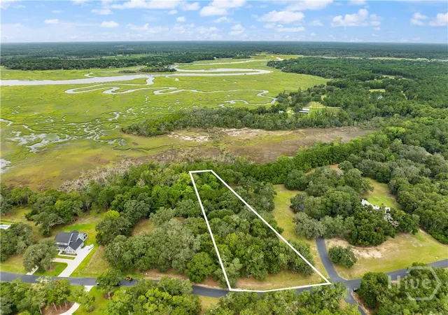 Photo 1 of Land for sale at Lot 241 Coopers Landing Dr, Townsend, GA 31331 | MLS# SA363883 | Listing updated on 2026-09-02