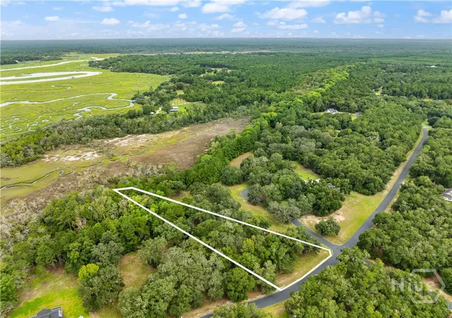 Photo 2 of Land for sale at Lot 241 Coopers Landing Dr, Townsend, GA 31331 | MLS# SA363883 | Listing updated on 2026-09-02
