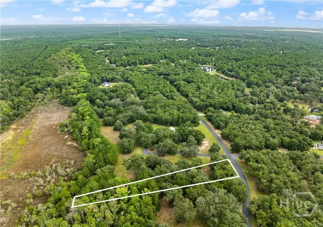 Photo 3 of Land for sale at Lot 241 Coopers Landing Dr, Townsend, GA 31331 | MLS# SA363883 | Listing updated on 2026-09-02