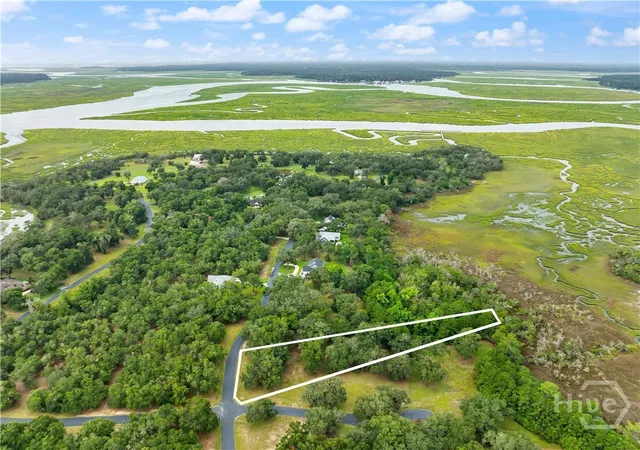 Photo 4 of Land for sale at Lot 241 Coopers Landing Dr, Townsend, GA 31331 | MLS# SA363883 | Listing updated on 2026-09-02
