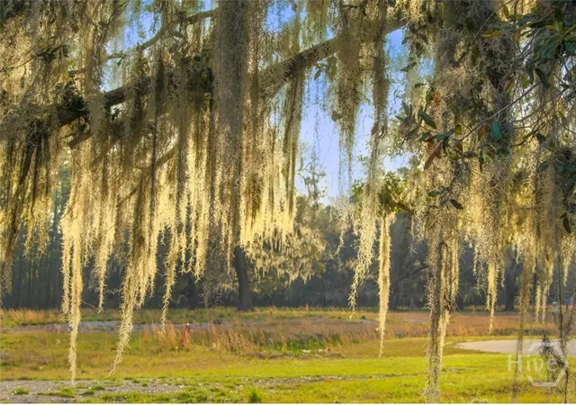 Photo 2 of Single family home for sale at 4 William's Retreat, Savannah, GA 31419 | MLS# SA339864 | Listing updated on 2026-09-01