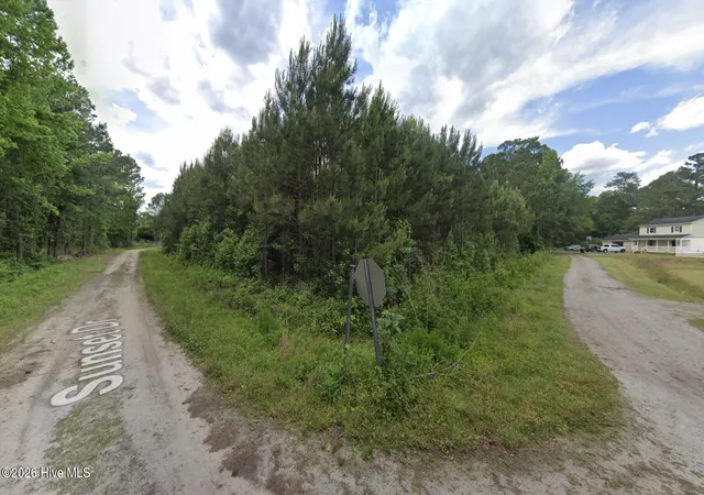 Photo 2 of Land for sale at ~245 Acre Near 163 Sunset Dr, Fair Bluff, NC 28439 | MLS# 100603618 | Listing updated on 2026-10-19