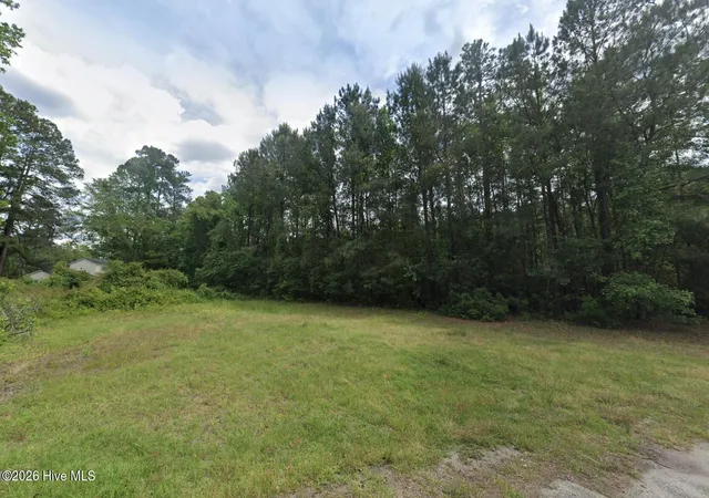 Photo 3 of Land for sale at ~245 Acre Near 163 Sunset Dr, Fair Bluff, NC 28439 | MLS# 100603618 | Listing updated on 2026-10-19