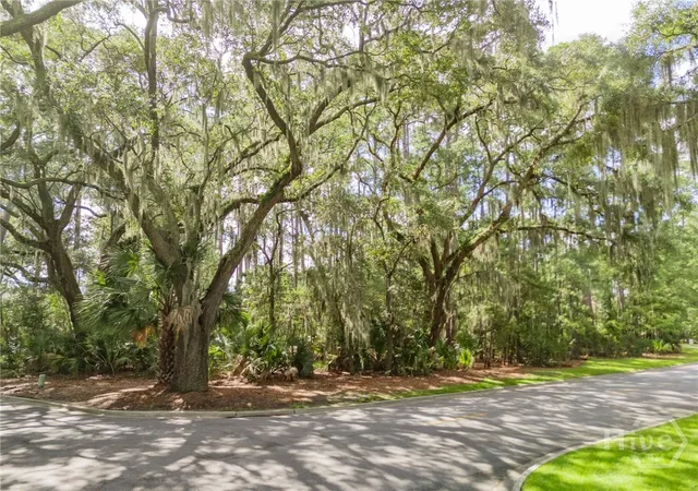 Photo 3 of Land for sale at 1 Hasleiters Retreat, Savannah, GA 31411 | MLS# SA363867 | Listing updated on 2026-09-04