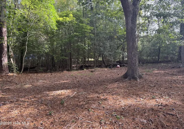 Photo 1 of Land for sale at 124 Maple Ln, Blounts Creek, NC 27814 | MLS# 100608414 | Listing updated on 2026-10-12