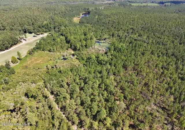 Photo 3 of Land for sale at Trt 11 Peach Orchard Rd, Wagram, NC 28396 | MLS# 100538550 | Listing updated on 2026-09-01
