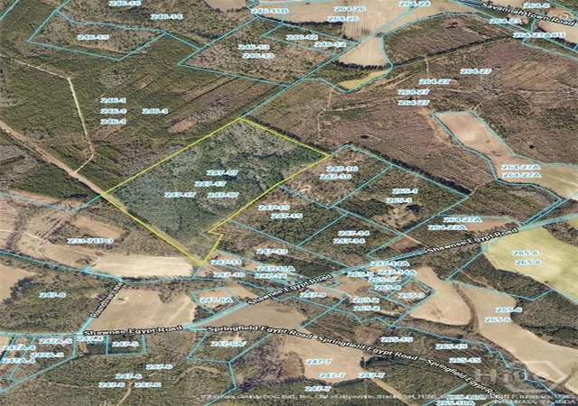 Photo 1 of Land for sale at 980 Shawnee Egypt Rd, Springfield, GA 31329 | MLS# SA364426 | Listing updated on 2026-09-11