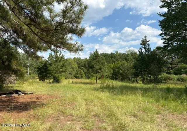 Photo 1 of Land for sale at 3832 Watson Seed Farm Rd, Whitakers, NC 27891 | MLS# 100600810 | Listing updated on 2026-09-28