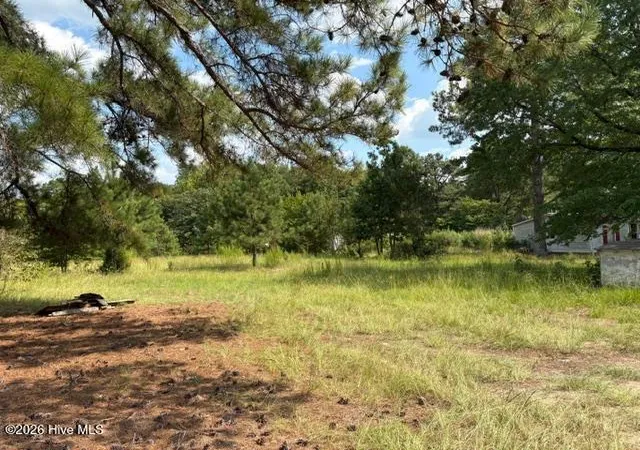 Photo 2 of Land for sale at 3832 Watson Seed Farm Rd, Whitakers, NC 27891 | MLS# 100600810 | Listing updated on 2026-09-28