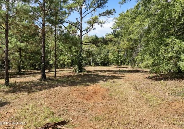 Photo 3 of Land for sale at 205 Campbell Cir, Hephzibah, GA 30815 | MLS# 100603339 | Listing updated on 2026-09-14