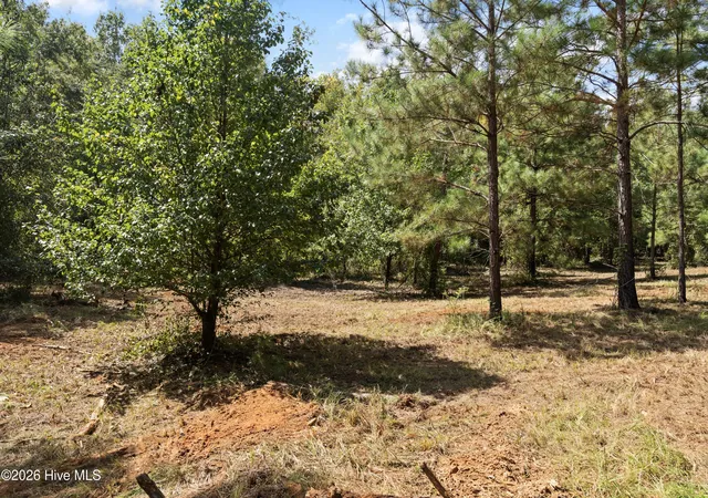 Photo 3 of House for sale at 205 Campbell Cir, Hephzibah, GA 30815 | MLS# 100603339 | Listing updated on 2026-09-14