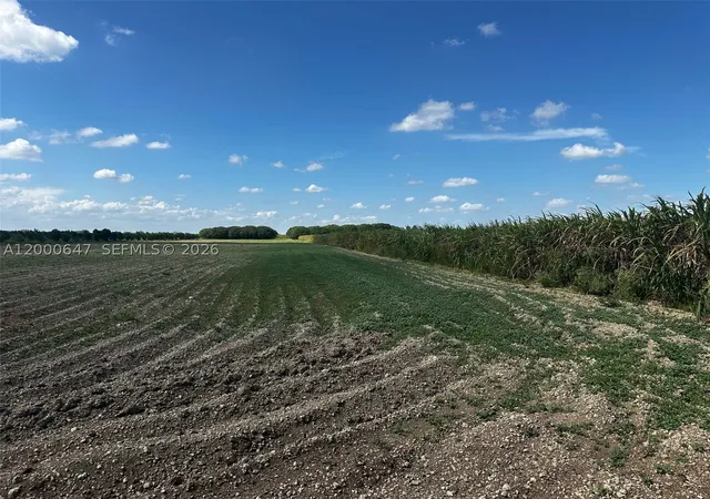 Photo 2 of Land for sale at 226xx Sw 220 Av, Miami, FL 33170 | MLS# A12000647 | Listing updated on 2026-09-10