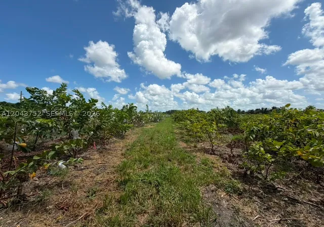 Photo 3 of Land for sale at 15805 Sw 205 Avenue, Miami, FL 33187 | MLS# A12043752 | Listing updated on 2026-09-20