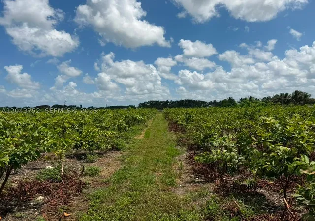 Photo 4 of Land for sale at 15805 Sw 205 Avenue, Miami, FL 33187 | MLS# A12043752 | Listing updated on 2026-09-20