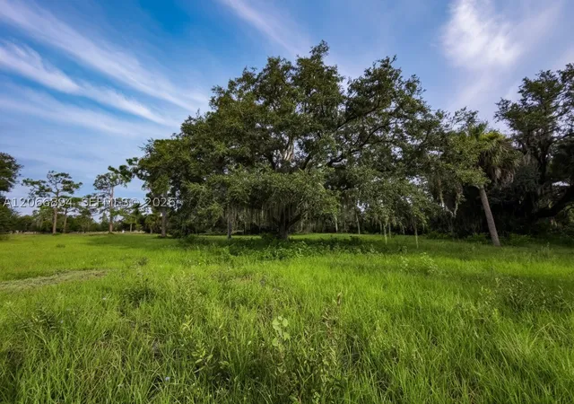 Photo 3 of Land for sale at 3291 Fort Denaud Rd, La Belle, FL 33935 | MLS# A12066894 | Listing updated on 2026-08-30
