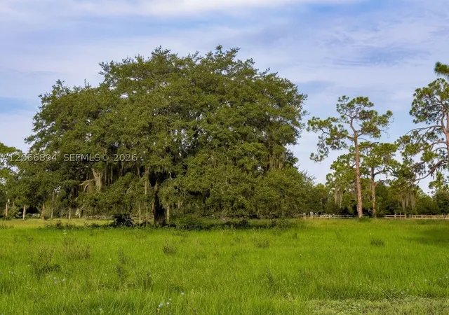 Photo 4 of Land for sale at 3291 Fort Denaud Rd, La Belle, FL 33935 | MLS# A12066894 | Listing updated on 2026-08-30