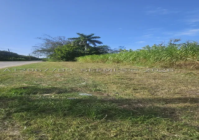 Photo 3 of Land for sale at 197 Ave / Sw 144Th Street, Miami, FL 33196 | MLS# A12067789 | Listing updated on 2026-09-10