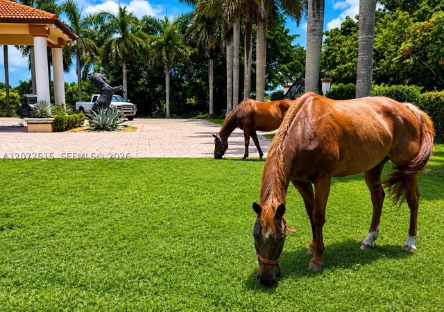 Photo 3 of Single family home for sale at 19701 Sw 197th Ave, Miami, FL 33187 | MLS# A12072515 | Listing updated on 2026-09-01