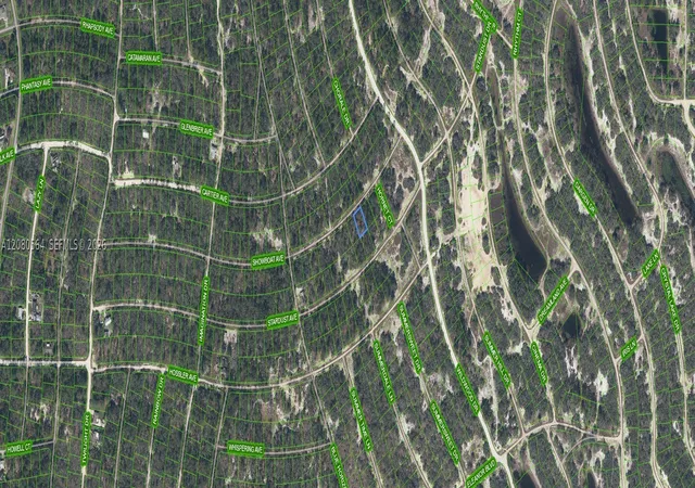 Photo 2 of Land for sale at 387 Showboat Ave, Lake Placid, FL 33852 | MLS# A12080564 | Listing updated on 2026-09-02