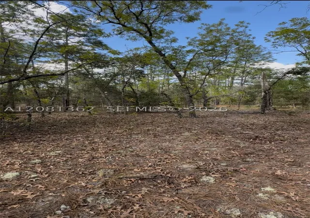 Land for sale at SW Indian Hl Dr, Ocala, FL 34431 | MLS# A12081362